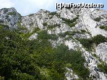 [P22] Deja ne apropiem de zona cu jnepenis » foto by Claudiu U.
 - 
<span class="allrVoted glyphicon glyphicon-heart hidden" id="av243452"></span>
<a class="m-l-10 hidden" id="sv243452" onclick="voting_Foto_DelVot(,243452,5764)" role="button">șterge vot <span class="glyphicon glyphicon-remove"></span></a>
<a id="v9243452" class=" c-red"  onclick="voting_Foto_SetVot(243452)" role="button"><span class="glyphicon glyphicon-heart-empty"></span> <b>LIKE</b> = Votează poza</a> <img class="hidden"  id="f243452W9" src="/imagini/loader.gif" border="0" /><span class="AjErrMes hidden" id="e243452ErM"></span>