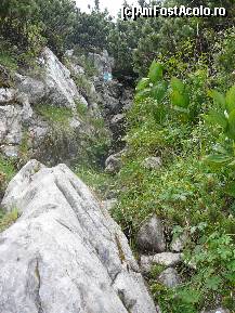 [P23] Unul din culuarele de care spuneam, printre piatra si jnepeni » foto by Claudiu U.
 - 
<span class="allrVoted glyphicon glyphicon-heart hidden" id="av243453"></span>
<a class="m-l-10 hidden" id="sv243453" onclick="voting_Foto_DelVot(,243453,5764)" role="button">șterge vot <span class="glyphicon glyphicon-remove"></span></a>
<a id="v9243453" class=" c-red"  onclick="voting_Foto_SetVot(243453)" role="button"><span class="glyphicon glyphicon-heart-empty"></span> <b>LIKE</b> = Votează poza</a> <img class="hidden"  id="f243453W9" src="/imagini/loader.gif" border="0" /><span class="AjErrMes hidden" id="e243453ErM"></span>