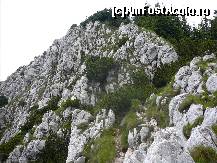 [P29] Pe traseul de creasta » foto by Claudiu U.
 - 
<span class="allrVoted glyphicon glyphicon-heart hidden" id="av243459"></span>
<a class="m-l-10 hidden" id="sv243459" onclick="voting_Foto_DelVot(,243459,5764)" role="button">șterge vot <span class="glyphicon glyphicon-remove"></span></a>
<a id="v9243459" class=" c-red"  onclick="voting_Foto_SetVot(243459)" role="button"><span class="glyphicon glyphicon-heart-empty"></span> <b>LIKE</b> = Votează poza</a> <img class="hidden"  id="f243459W9" src="/imagini/loader.gif" border="0" /><span class="AjErrMes hidden" id="e243459ErM"></span>