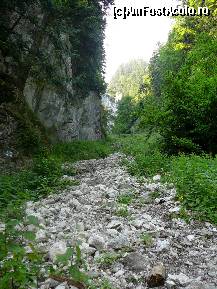 [P04] Primele stanci ce ne apar in fata » foto by Claudiu U.
 - 
<span class="allrVoted glyphicon glyphicon-heart hidden" id="av243434"></span>
<a class="m-l-10 hidden" id="sv243434" onclick="voting_Foto_DelVot(,243434,5764)" role="button">șterge vot <span class="glyphicon glyphicon-remove"></span></a>
<a id="v9243434" class=" c-red"  onclick="voting_Foto_SetVot(243434)" role="button"><span class="glyphicon glyphicon-heart-empty"></span> <b>LIKE</b> = Votează poza</a> <img class="hidden"  id="f243434W9" src="/imagini/loader.gif" border="0" /><span class="AjErrMes hidden" id="e243434ErM"></span>