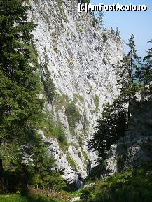 [P08] Noi -tot inainte pe valea ingusta, fotografiile -tot spre inapoi, deoarece soarele ne batea din fata » foto by Claudiu U.
 - 
<span class="allrVoted glyphicon glyphicon-heart hidden" id="av243438"></span>
<a class="m-l-10 hidden" id="sv243438" onclick="voting_Foto_DelVot(,243438,5764)" role="button">șterge vot <span class="glyphicon glyphicon-remove"></span></a>
<a id="v9243438" class=" c-red"  onclick="voting_Foto_SetVot(243438)" role="button"><span class="glyphicon glyphicon-heart-empty"></span> <b>LIKE</b> = Votează poza</a> <img class="hidden"  id="f243438W9" src="/imagini/loader.gif" border="0" /><span class="AjErrMes hidden" id="e243438ErM"></span>