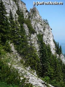 [P09] Alti pereti de piatra si grohotisul de la baza lor » foto by Claudiu U.
 - 
<span class="allrVoted glyphicon glyphicon-heart hidden" id="av243439"></span>
<a class="m-l-10 hidden" id="sv243439" onclick="voting_Foto_DelVot(,243439,5764)" role="button">șterge vot <span class="glyphicon glyphicon-remove"></span></a>
<a id="v9243439" class=" c-red"  onclick="voting_Foto_SetVot(243439)" role="button"><span class="glyphicon glyphicon-heart-empty"></span> <b>LIKE</b> = Votează poza</a> <img class="hidden"  id="f243439W9" src="/imagini/loader.gif" border="0" /><span class="AjErrMes hidden" id="e243439ErM"></span>