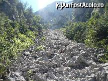 [P10] Am ajuns in zona grohotisurilor. In fata avem peretele ce ramifica valea. » foto by Claudiu U.
 - 
<span class="allrVoted glyphicon glyphicon-heart hidden" id="av256742"></span>
<a class="m-l-10 hidden" id="sv256742" onclick="voting_Foto_DelVot(,256742,5764)" role="button">șterge vot <span class="glyphicon glyphicon-remove"></span></a>
<a id="v9256742" class=" c-red"  onclick="voting_Foto_SetVot(256742)" role="button"><span class="glyphicon glyphicon-heart-empty"></span> <b>LIKE</b> = Votează poza</a> <img class="hidden"  id="f256742W9" src="/imagini/loader.gif" border="0" /><span class="AjErrMes hidden" id="e256742ErM"></span>