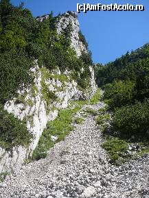 [P12] Urcusul ce ne asteapta, din locul unde cararea coteste la stanga parasind firul principal al vaii. » foto by Claudiu U.
 - 
<span class="allrVoted glyphicon glyphicon-heart hidden" id="av256744"></span>
<a class="m-l-10 hidden" id="sv256744" onclick="voting_Foto_DelVot(,256744,5764)" role="button">șterge vot <span class="glyphicon glyphicon-remove"></span></a>
<a id="v9256744" class=" c-red"  onclick="voting_Foto_SetVot(256744)" role="button"><span class="glyphicon glyphicon-heart-empty"></span> <b>LIKE</b> = Votează poza</a> <img class="hidden"  id="f256744W9" src="/imagini/loader.gif" border="0" /><span class="AjErrMes hidden" id="e256744ErM"></span>