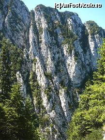 [P13] Peretii striati ai Padinii Sindileriei » foto by Claudiu U.
 - 
<span class="allrVoted glyphicon glyphicon-heart hidden" id="av256745"></span>
<a class="m-l-10 hidden" id="sv256745" onclick="voting_Foto_DelVot(,256745,5764)" role="button">șterge vot <span class="glyphicon glyphicon-remove"></span></a>
<a id="v9256745" class=" c-red"  onclick="voting_Foto_SetVot(256745)" role="button"><span class="glyphicon glyphicon-heart-empty"></span> <b>LIKE</b> = Votează poza</a> <img class="hidden"  id="f256745W9" src="/imagini/loader.gif" border="0" /><span class="AjErrMes hidden" id="e256745ErM"></span>