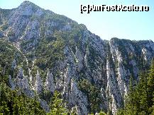 [P15] Fascinanta Cetate a Sindileriei (o parte) » foto by Claudiu U.
 - 
<span class="allrVoted glyphicon glyphicon-heart hidden" id="av256747"></span>
<a class="m-l-10 hidden" id="sv256747" onclick="voting_Foto_DelVot(,256747,5764)" role="button">șterge vot <span class="glyphicon glyphicon-remove"></span></a>
<a id="v9256747" class=" c-red"  onclick="voting_Foto_SetVot(256747)" role="button"><span class="glyphicon glyphicon-heart-empty"></span> <b>LIKE</b> = Votează poza</a> <img class="hidden"  id="f256747W9" src="/imagini/loader.gif" border="0" /><span class="AjErrMes hidden" id="e256747ErM"></span>