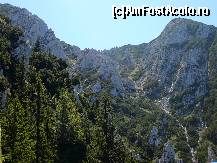 [P17] Partea superioara a Padinii Sindileriei » foto by Claudiu U.
 - 
<span class="allrVoted glyphicon glyphicon-heart hidden" id="av256749"></span>
<a class="m-l-10 hidden" id="sv256749" onclick="voting_Foto_DelVot(,256749,5764)" role="button">șterge vot <span class="glyphicon glyphicon-remove"></span></a>
<a id="v9256749" class=" c-red"  onclick="voting_Foto_SetVot(256749)" role="button"><span class="glyphicon glyphicon-heart-empty"></span> <b>LIKE</b> = Votează poza</a> <img class="hidden"  id="f256749W9" src="/imagini/loader.gif" border="0" /><span class="AjErrMes hidden" id="e256749ErM"></span>