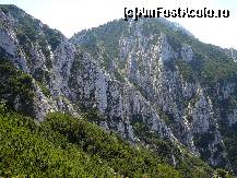 [P19] Prin marea de jnepeni. Dupa cum se vede ne-am departat destul de mult de firul principal al vaii » foto by Claudiu U.
 - 
<span class="allrVoted glyphicon glyphicon-heart hidden" id="av256751"></span>
<a class="m-l-10 hidden" id="sv256751" onclick="voting_Foto_DelVot(,256751,5764)" role="button">șterge vot <span class="glyphicon glyphicon-remove"></span></a>
<a id="v9256751" class=" c-red"  onclick="voting_Foto_SetVot(256751)" role="button"><span class="glyphicon glyphicon-heart-empty"></span> <b>LIKE</b> = Votează poza</a> <img class="hidden"  id="f256751W9" src="/imagini/loader.gif" border="0" /><span class="AjErrMes hidden" id="e256751ErM"></span>