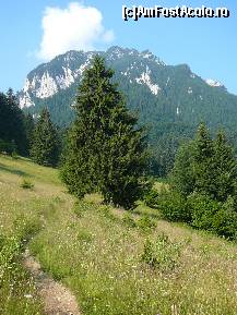 [P02] Prima parte a traseului. In fata se vede varful Turnu » foto by Claudiu U.
 - 
<span class="allrVoted glyphicon glyphicon-heart hidden" id="av256734"></span>
<a class="m-l-10 hidden" id="sv256734" onclick="voting_Foto_DelVot(,256734,5764)" role="button">șterge vot <span class="glyphicon glyphicon-remove"></span></a>
<a id="v9256734" class=" c-red"  onclick="voting_Foto_SetVot(256734)" role="button"><span class="glyphicon glyphicon-heart-empty"></span> <b>LIKE</b> = Votează poza</a> <img class="hidden"  id="f256734W9" src="/imagini/loader.gif" border="0" /><span class="AjErrMes hidden" id="e256734ErM"></span>