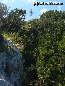 [P20] Inca putin si am ajuns pe Varful Turnu » foto by Claudiu U.
 - 
<span class="allrVoted glyphicon glyphicon-heart hidden" id="av256752"></span>
<a class="m-l-10 hidden" id="sv256752" onclick="voting_Foto_DelVot(,256752,5764)" role="button">șterge vot <span class="glyphicon glyphicon-remove"></span></a>
<a id="v9256752" class=" c-red"  onclick="voting_Foto_SetVot(256752)" role="button"><span class="glyphicon glyphicon-heart-empty"></span> <b>LIKE</b> = Votează poza</a> <img class="hidden"  id="f256752W9" src="/imagini/loader.gif" border="0" /><span class="AjErrMes hidden" id="e256752ErM"></span>