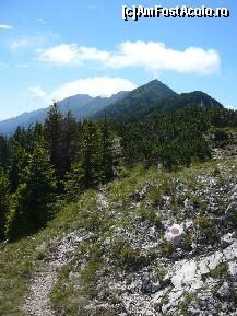[P22] Privire de pe Turnu spre lungul crestei » foto by Claudiu U.
 - 
<span class="allrVoted glyphicon glyphicon-heart hidden" id="av256754"></span>
<a class="m-l-10 hidden" id="sv256754" onclick="voting_Foto_DelVot(,256754,5764)" role="button">șterge vot <span class="glyphicon glyphicon-remove"></span></a>
<a id="v9256754" class=" c-red"  onclick="voting_Foto_SetVot(256754)" role="button"><span class="glyphicon glyphicon-heart-empty"></span> <b>LIKE</b> = Votează poza</a> <img class="hidden"  id="f256754W9" src="/imagini/loader.gif" border="0" /><span class="AjErrMes hidden" id="e256754ErM"></span>