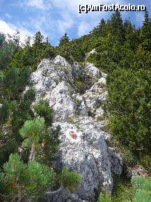 [P26] Deja am inceput coborarea, pe pietrele 'rasarite' printre jnepeni » foto by Claudiu U.
 - 
<span class="allrVoted glyphicon glyphicon-heart hidden" id="av256758"></span>
<a class="m-l-10 hidden" id="sv256758" onclick="voting_Foto_DelVot(,256758,5764)" role="button">șterge vot <span class="glyphicon glyphicon-remove"></span></a>
<a id="v9256758" class=" c-red"  onclick="voting_Foto_SetVot(256758)" role="button"><span class="glyphicon glyphicon-heart-empty"></span> <b>LIKE</b> = Votează poza</a> <img class="hidden"  id="f256758W9" src="/imagini/loader.gif" border="0" /><span class="AjErrMes hidden" id="e256758ErM"></span>