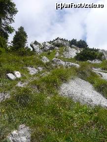 [P27] Am depasit jnepenisul si am ajuns intr-o zona inierbata » foto by Claudiu U.
 - 
<span class="allrVoted glyphicon glyphicon-heart hidden" id="av256759"></span>
<a class="m-l-10 hidden" id="sv256759" onclick="voting_Foto_DelVot(,256759,5764)" role="button">șterge vot <span class="glyphicon glyphicon-remove"></span></a>
<a id="v9256759" class=" c-red"  onclick="voting_Foto_SetVot(256759)" role="button"><span class="glyphicon glyphicon-heart-empty"></span> <b>LIKE</b> = Votează poza</a> <img class="hidden"  id="f256759W9" src="/imagini/loader.gif" border="0" /><span class="AjErrMes hidden" id="e256759ErM"></span>