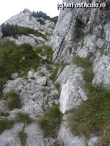 [P28] Prima zona de catarare libera » foto by Claudiu U.
 - 
<span class="allrVoted glyphicon glyphicon-heart hidden" id="av256760"></span>
<a class="m-l-10 hidden" id="sv256760" onclick="voting_Foto_DelVot(,256760,5764)" role="button">șterge vot <span class="glyphicon glyphicon-remove"></span></a>
<a id="v9256760" class=" c-red"  onclick="voting_Foto_SetVot(256760)" role="button"><span class="glyphicon glyphicon-heart-empty"></span> <b>LIKE</b> = Votează poza</a> <img class="hidden"  id="f256760W9" src="/imagini/loader.gif" border="0" /><span class="AjErrMes hidden" id="e256760ErM"></span>