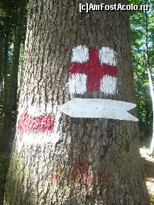 [P03] Locul ce marcheaza ramificatia spre Sindileriei » foto by Claudiu U.
 - 
<span class="allrVoted glyphicon glyphicon-heart hidden" id="av256735"></span>
<a class="m-l-10 hidden" id="sv256735" onclick="voting_Foto_DelVot(,256735,5764)" role="button">șterge vot <span class="glyphicon glyphicon-remove"></span></a>
<a id="v9256735" class=" c-red"  onclick="voting_Foto_SetVot(256735)" role="button"><span class="glyphicon glyphicon-heart-empty"></span> <b>LIKE</b> = Votează poza</a> <img class="hidden"  id="f256735W9" src="/imagini/loader.gif" border="0" /><span class="AjErrMes hidden" id="e256735ErM"></span>