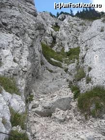 [P32] 'Jgheabul' ce coteste la dreapta » foto by Claudiu U.
 - 
<span class="allrVoted glyphicon glyphicon-heart hidden" id="av256764"></span>
<a class="m-l-10 hidden" id="sv256764" onclick="voting_Foto_DelVot(,256764,5764)" role="button">șterge vot <span class="glyphicon glyphicon-remove"></span></a>
<a id="v9256764" class=" c-red"  onclick="voting_Foto_SetVot(256764)" role="button"><span class="glyphicon glyphicon-heart-empty"></span> <b>LIKE</b> = Votează poza</a> <img class="hidden"  id="f256764W9" src="/imagini/loader.gif" border="0" /><span class="AjErrMes hidden" id="e256764ErM"></span>