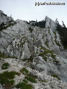 [P34] Am scapat de stanci dar mai aruncam o privire inapoi. Da, pe acolo am coborat! » foto by Claudiu U.
 - 
<span class="allrVoted glyphicon glyphicon-heart hidden" id="av256766"></span>
<a class="m-l-10 hidden" id="sv256766" onclick="voting_Foto_DelVot(,256766,5764)" role="button">șterge vot <span class="glyphicon glyphicon-remove"></span></a>
<a id="v9256766" class=" c-red"  onclick="voting_Foto_SetVot(256766)" role="button"><span class="glyphicon glyphicon-heart-empty"></span> <b>LIKE</b> = Votează poza</a> <img class="hidden"  id="f256766W9" src="/imagini/loader.gif" border="0" /><span class="AjErrMes hidden" id="e256766ErM"></span>