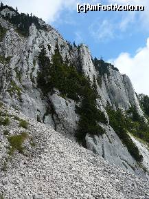 [P35] Suntem la baza impresionantilor pereti de calcar pe care ii mai privim o data, inainte de a intra in padure » foto by Claudiu U.
 - 
<span class="allrVoted glyphicon glyphicon-heart hidden" id="av256767"></span>
<a class="m-l-10 hidden" id="sv256767" onclick="voting_Foto_DelVot(,256767,5764)" role="button">șterge vot <span class="glyphicon glyphicon-remove"></span></a>
<a id="v9256767" class=" c-red"  onclick="voting_Foto_SetVot(256767)" role="button"><span class="glyphicon glyphicon-heart-empty"></span> <b>LIKE</b> = Votează poza</a> <img class="hidden"  id="f256767W9" src="/imagini/loader.gif" border="0" /><span class="AjErrMes hidden" id="e256767ErM"></span>