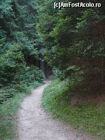 [P40] Prima parte a potecii de la cabana spre poiana Zanoaga » foto by Claudiu U.
 - 
<span class="allrVoted glyphicon glyphicon-heart hidden" id="av256772"></span>
<a class="m-l-10 hidden" id="sv256772" onclick="voting_Foto_DelVot(,256772,5764)" role="button">șterge vot <span class="glyphicon glyphicon-remove"></span></a>
<a id="v9256772" class=" c-red"  onclick="voting_Foto_SetVot(256772)" role="button"><span class="glyphicon glyphicon-heart-empty"></span> <b>LIKE</b> = Votează poza</a> <img class="hidden"  id="f256772W9" src="/imagini/loader.gif" border="0" /><span class="AjErrMes hidden" id="e256772ErM"></span>