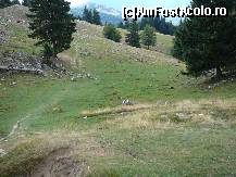 [P42] O mica parte din poiana Zanoaga » foto by Claudiu U.
 - 
<span class="allrVoted glyphicon glyphicon-heart hidden" id="av256774"></span>
<a class="m-l-10 hidden" id="sv256774" onclick="voting_Foto_DelVot(,256774,5764)" role="button">șterge vot <span class="glyphicon glyphicon-remove"></span></a>
<a id="v9256774" class=" c-red"  onclick="voting_Foto_SetVot(256774)" role="button"><span class="glyphicon glyphicon-heart-empty"></span> <b>LIKE</b> = Votează poza</a> <img class="hidden"  id="f256774W9" src="/imagini/loader.gif" border="0" /><span class="AjErrMes hidden" id="e256774ErM"></span>