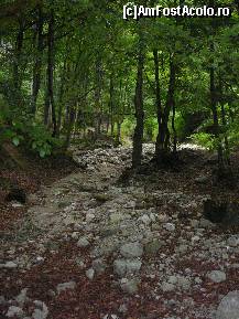 [P44] Coborarea prin Padina lui Danisor » foto by Claudiu U.
 - 
<span class="allrVoted glyphicon glyphicon-heart hidden" id="av256776"></span>
<a class="m-l-10 hidden" id="sv256776" onclick="voting_Foto_DelVot(,256776,5764)" role="button">șterge vot <span class="glyphicon glyphicon-remove"></span></a>
<a id="v9256776" class=" c-red"  onclick="voting_Foto_SetVot(256776)" role="button"><span class="glyphicon glyphicon-heart-empty"></span> <b>LIKE</b> = Votează poza</a> <img class="hidden"  id="f256776W9" src="/imagini/loader.gif" border="0" /><span class="AjErrMes hidden" id="e256776ErM"></span>