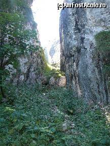 [P05] Am iesit pe firul vaii. In fata se vede saritoarea prin care intram in stransoarea uriasilor pereti de piatra » foto by Claudiu U.
 - 
<span class="allrVoted glyphicon glyphicon-heart hidden" id="av256737"></span>
<a class="m-l-10 hidden" id="sv256737" onclick="voting_Foto_DelVot(,256737,5764)" role="button">șterge vot <span class="glyphicon glyphicon-remove"></span></a>
<a id="v9256737" class=" c-red"  onclick="voting_Foto_SetVot(256737)" role="button"><span class="glyphicon glyphicon-heart-empty"></span> <b>LIKE</b> = Votează poza</a> <img class="hidden"  id="f256737W9" src="/imagini/loader.gif" border="0" /><span class="AjErrMes hidden" id="e256737ErM"></span>