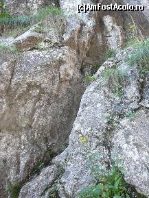 [P06] Saritoarea Scarii. Desi la prima vedere nu pare foarte dificila, totusi efortul de a o depasi nu este chiar de neglijat » foto by Claudiu U.
 - 
<span class="allrVoted glyphicon glyphicon-heart hidden" id="av256738"></span>
<a class="m-l-10 hidden" id="sv256738" onclick="voting_Foto_DelVot(,256738,5764)" role="button">șterge vot <span class="glyphicon glyphicon-remove"></span></a>
<a id="v9256738" class=" c-red"  onclick="voting_Foto_SetVot(256738)" role="button"><span class="glyphicon glyphicon-heart-empty"></span> <b>LIKE</b> = Votează poza</a> <img class="hidden"  id="f256738W9" src="/imagini/loader.gif" border="0" /><span class="AjErrMes hidden" id="e256738ErM"></span>