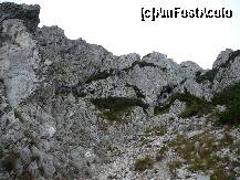 [P10] ...si ce ne astepta mai departe » foto by Claudiu U.
 - 
<span class="allrVoted glyphicon glyphicon-heart hidden" id="av280610"></span>
<a class="m-l-10 hidden" id="sv280610" onclick="voting_Foto_DelVot(,280610,5764)" role="button">șterge vot <span class="glyphicon glyphicon-remove"></span></a>
<a id="v9280610" class=" c-red"  onclick="voting_Foto_SetVot(280610)" role="button"><span class="glyphicon glyphicon-heart-empty"></span> <b>LIKE</b> = Votează poza</a> <img class="hidden"  id="f280610W9" src="/imagini/loader.gif" border="0" /><span class="AjErrMes hidden" id="e280610ErM"></span>