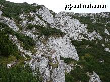 [P15] Suntem deja in Strunga Izvorului si aruncam o privire catre creasta. Nu mai e mult » foto by Claudiu U.
 - 
<span class="allrVoted glyphicon glyphicon-heart hidden" id="av280615"></span>
<a class="m-l-10 hidden" id="sv280615" onclick="voting_Foto_DelVot(,280615,5764)" role="button">șterge vot <span class="glyphicon glyphicon-remove"></span></a>
<a id="v9280615" class=" c-red"  onclick="voting_Foto_SetVot(280615)" role="button"><span class="glyphicon glyphicon-heart-empty"></span> <b>LIKE</b> = Votează poza</a> <img class="hidden"  id="f280615W9" src="/imagini/loader.gif" border="0" /><span class="AjErrMes hidden" id="e280615ErM"></span>