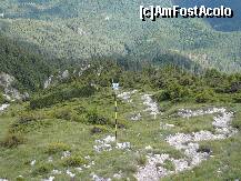 [P23] Prima parte a coborarii, dupa ce am placat de la varf » foto by Claudiu U.
 - 
<span class="allrVoted glyphicon glyphicon-heart hidden" id="av280623"></span>
<a class="m-l-10 hidden" id="sv280623" onclick="voting_Foto_DelVot(,280623,5764)" role="button">șterge vot <span class="glyphicon glyphicon-remove"></span></a>
<a id="v9280623" class=" c-red"  onclick="voting_Foto_SetVot(280623)" role="button"><span class="glyphicon glyphicon-heart-empty"></span> <b>LIKE</b> = Votează poza</a> <img class="hidden"  id="f280623W9" src="/imagini/loader.gif" border="0" /><span class="AjErrMes hidden" id="e280623ErM"></span>