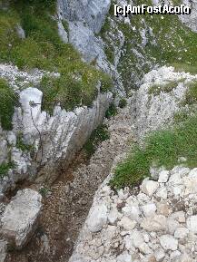 [P24] Un alt jgheab, depasit cu ajutorul unui cablu » foto by Claudiu U.
 - 
<span class="allrVoted glyphicon glyphicon-heart hidden" id="av280624"></span>
<a class="m-l-10 hidden" id="sv280624" onclick="voting_Foto_DelVot(,280624,5764)" role="button">șterge vot <span class="glyphicon glyphicon-remove"></span></a>
<a id="v9280624" class=" c-red"  onclick="voting_Foto_SetVot(280624)" role="button"><span class="glyphicon glyphicon-heart-empty"></span> <b>LIKE</b> = Votează poza</a> <img class="hidden"  id="f280624W9" src="/imagini/loader.gif" border="0" /><span class="AjErrMes hidden" id="e280624ErM"></span>