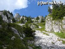 [P25] Coborand prin grohotisuri dar mai aruncand si cate o privire inapoi » foto by Claudiu U.
 - 
<span class="allrVoted glyphicon glyphicon-heart hidden" id="av280625"></span>
<a class="m-l-10 hidden" id="sv280625" onclick="voting_Foto_DelVot(,280625,5764)" role="button">șterge vot <span class="glyphicon glyphicon-remove"></span></a>
<a id="v9280625" class=" c-red"  onclick="voting_Foto_SetVot(280625)" role="button"><span class="glyphicon glyphicon-heart-empty"></span> <b>LIKE</b> = Votează poza</a> <img class="hidden"  id="f280625W9" src="/imagini/loader.gif" border="0" /><span class="AjErrMes hidden" id="e280625ErM"></span>