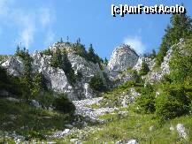 [P27] Tot prin grohotisuri dar mai jos » foto by Claudiu U.
 - 
<span class="allrVoted glyphicon glyphicon-heart hidden" id="av280627"></span>
<a class="m-l-10 hidden" id="sv280627" onclick="voting_Foto_DelVot(,280627,5764)" role="button">șterge vot <span class="glyphicon glyphicon-remove"></span></a>
<a id="v9280627" class=" c-red"  onclick="voting_Foto_SetVot(280627)" role="button"><span class="glyphicon glyphicon-heart-empty"></span> <b>LIKE</b> = Votează poza</a> <img class="hidden"  id="f280627W9" src="/imagini/loader.gif" border="0" /><span class="AjErrMes hidden" id="e280627ErM"></span>