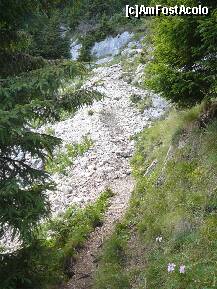 [P28] Ultima 'limba' de pravalisuri, inainte de a intra in padure » foto by Claudiu U.
 - 
<span class="allrVoted glyphicon glyphicon-heart hidden" id="av280628"></span>
<a class="m-l-10 hidden" id="sv280628" onclick="voting_Foto_DelVot(,280628,5764)" role="button">șterge vot <span class="glyphicon glyphicon-remove"></span></a>
<a id="v9280628" class=" c-red"  onclick="voting_Foto_SetVot(280628)" role="button"><span class="glyphicon glyphicon-heart-empty"></span> <b>LIKE</b> = Votează poza</a> <img class="hidden"  id="f280628W9" src="/imagini/loader.gif" border="0" /><span class="AjErrMes hidden" id="e280628ErM"></span>