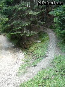 [P30] Punctul in care poteca se intersecteaza cu drumul ce duce la cabana Curmatura » foto by Claudiu U.
 - 
<span class="allrVoted glyphicon glyphicon-heart hidden" id="av280630"></span>
<a class="m-l-10 hidden" id="sv280630" onclick="voting_Foto_DelVot(,280630,5764)" role="button">șterge vot <span class="glyphicon glyphicon-remove"></span></a>
<a id="v9280630" class=" c-red"  onclick="voting_Foto_SetVot(280630)" role="button"><span class="glyphicon glyphicon-heart-empty"></span> <b>LIKE</b> = Votează poza</a> <img class="hidden"  id="f280630W9" src="/imagini/loader.gif" border="0" /><span class="AjErrMes hidden" id="e280630ErM"></span>