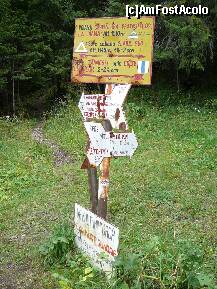 [P04] Sagetile indicatoare din Poiana Curmatura Prapastiilor » foto by Claudiu U.
 - 
<span class="allrVoted glyphicon glyphicon-heart hidden" id="av280604"></span>
<a class="m-l-10 hidden" id="sv280604" onclick="voting_Foto_DelVot(,280604,5764)" role="button">șterge vot <span class="glyphicon glyphicon-remove"></span></a>
<a id="v9280604" class=" c-red"  onclick="voting_Foto_SetVot(280604)" role="button"><span class="glyphicon glyphicon-heart-empty"></span> <b>LIKE</b> = Votează poza</a> <img class="hidden"  id="f280604W9" src="/imagini/loader.gif" border="0" /><span class="AjErrMes hidden" id="e280604ErM"></span>