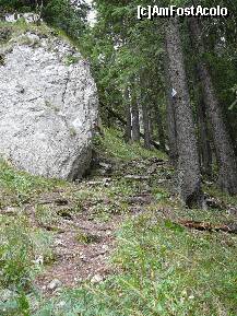 [P05] Am plecat de la Diana si urcam prin padure, indreptandu-ne spre valea Padina Popii » foto by Claudiu U.
 - 
<span class="allrVoted glyphicon glyphicon-heart hidden" id="av280605"></span>
<a class="m-l-10 hidden" id="sv280605" onclick="voting_Foto_DelVot(,280605,5764)" role="button">șterge vot <span class="glyphicon glyphicon-remove"></span></a>
<a id="v9280605" class=" c-red"  onclick="voting_Foto_SetVot(280605)" role="button"><span class="glyphicon glyphicon-heart-empty"></span> <b>LIKE</b> = Votează poza</a> <img class="hidden"  id="f280605W9" src="/imagini/loader.gif" border="0" /><span class="AjErrMes hidden" id="e280605ErM"></span>