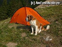 [P01] Inainte de a pleca la drum 'paznicul' avea grija de casuta noastra » foto by Claudiu U.
 - 
<span class="allrVoted glyphicon glyphicon-heart hidden" id="av281818"></span>
<a class="m-l-10 hidden" id="sv281818" onclick="voting_Foto_DelVot(,281818,5764)" role="button">șterge vot <span class="glyphicon glyphicon-remove"></span></a>
<a id="v9281818" class=" c-red"  onclick="voting_Foto_SetVot(281818)" role="button"><span class="glyphicon glyphicon-heart-empty"></span> <b>LIKE</b> = Votează poza</a> <img class="hidden"  id="f281818W9" src="/imagini/loader.gif" border="0" /><span class="AjErrMes hidden" id="e281818ErM"></span>