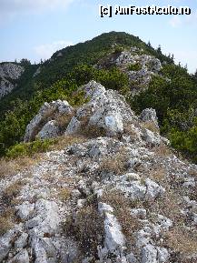 [P11] Cararea ce urmeaza linia ingusta a crestei » foto by Claudiu U.
 - 
<span class="allrVoted glyphicon glyphicon-heart hidden" id="av281832"></span>
<a class="m-l-10 hidden" id="sv281832" onclick="voting_Foto_DelVot(,281832,5764)" role="button">șterge vot <span class="glyphicon glyphicon-remove"></span></a>
<a id="v9281832" class=" c-red"  onclick="voting_Foto_SetVot(281832)" role="button"><span class="glyphicon glyphicon-heart-empty"></span> <b>LIKE</b> = Votează poza</a> <img class="hidden"  id="f281832W9" src="/imagini/loader.gif" border="0" /><span class="AjErrMes hidden" id="e281832ErM"></span>