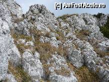 [P12] Iata si locul unde am gasit primul cablu metalic » foto by Claudiu U.
 - 
<span class="allrVoted glyphicon glyphicon-heart hidden" id="av281833"></span>
<a class="m-l-10 hidden" id="sv281833" onclick="voting_Foto_DelVot(,281833,5764)" role="button">șterge vot <span class="glyphicon glyphicon-remove"></span></a>
<a id="v9281833" class=" c-red"  onclick="voting_Foto_SetVot(281833)" role="button"><span class="glyphicon glyphicon-heart-empty"></span> <b>LIKE</b> = Votează poza</a> <img class="hidden"  id="f281833W9" src="/imagini/loader.gif" border="0" /><span class="AjErrMes hidden" id="e281833ErM"></span>