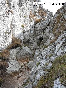 [P14] O alta coborare ce necesita atentie » foto by Claudiu U.
 - 
<span class="allrVoted glyphicon glyphicon-heart hidden" id="av281836"></span>
<a class="m-l-10 hidden" id="sv281836" onclick="voting_Foto_DelVot(,281836,5764)" role="button">șterge vot <span class="glyphicon glyphicon-remove"></span></a>
<a id="v9281836" class=" c-red"  onclick="voting_Foto_SetVot(281836)" role="button"><span class="glyphicon glyphicon-heart-empty"></span> <b>LIKE</b> = Votează poza</a> <img class="hidden"  id="f281836W9" src="/imagini/loader.gif" border="0" /><span class="AjErrMes hidden" id="e281836ErM"></span>