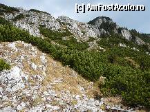 [P15] Interesanta lume a Pietrei Mici. Cu putina atentie se poate observa si pe unde este poteca » foto by Claudiu U.
 - 
<span class="allrVoted glyphicon glyphicon-heart hidden" id="av281837"></span>
<a class="m-l-10 hidden" id="sv281837" onclick="voting_Foto_DelVot(,281837,5764)" role="button">șterge vot <span class="glyphicon glyphicon-remove"></span></a>
<a id="v9281837" class=" c-red"  onclick="voting_Foto_SetVot(281837)" role="button"><span class="glyphicon glyphicon-heart-empty"></span> <b>LIKE</b> = Votează poza</a> <img class="hidden"  id="f281837W9" src="/imagini/loader.gif" border="0" /><span class="AjErrMes hidden" id="e281837ErM"></span>