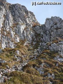 [P18] Locul unde este amplasat cel de-al doilea cablu. Desi nu pare, este destul de inalt » foto by Claudiu U.
 - 
<span class="allrVoted glyphicon glyphicon-heart hidden" id="av281842"></span>
<a class="m-l-10 hidden" id="sv281842" onclick="voting_Foto_DelVot(,281842,5764)" role="button">șterge vot <span class="glyphicon glyphicon-remove"></span></a>
<a id="v9281842" class=" c-red"  onclick="voting_Foto_SetVot(281842)" role="button"><span class="glyphicon glyphicon-heart-empty"></span> <b>LIKE</b> = Votează poza</a> <img class="hidden"  id="f281842W9" src="/imagini/loader.gif" border="0" /><span class="AjErrMes hidden" id="e281842ErM"></span>