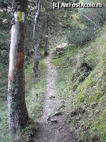 [P24] Prima parte a coborarii prin valea Crapaturii » foto by Claudiu U.
 - 
<span class="allrVoted glyphicon glyphicon-heart hidden" id="av281848"></span>
<a class="m-l-10 hidden" id="sv281848" onclick="voting_Foto_DelVot(,281848,5764)" role="button">șterge vot <span class="glyphicon glyphicon-remove"></span></a>
<a id="v9281848" class=" c-red"  onclick="voting_Foto_SetVot(281848)" role="button"><span class="glyphicon glyphicon-heart-empty"></span> <b>LIKE</b> = Votează poza</a> <img class="hidden"  id="f281848W9" src="/imagini/loader.gif" border="0" /><span class="AjErrMes hidden" id="e281848ErM"></span>