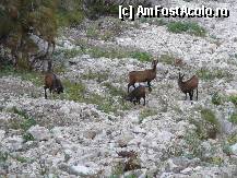 [P27] Deja ne-am apropiat. Dar totusi nu suficient! » foto by Claudiu U.
 - 
<span class="allrVoted glyphicon glyphicon-heart hidden" id="av281851"></span>
<a class="m-l-10 hidden" id="sv281851" onclick="voting_Foto_DelVot(,281851,5764)" role="button">șterge vot <span class="glyphicon glyphicon-remove"></span></a>
<a id="v9281851" class=" c-red"  onclick="voting_Foto_SetVot(281851)" role="button"><span class="glyphicon glyphicon-heart-empty"></span> <b>LIKE</b> = Votează poza</a> <img class="hidden"  id="f281851W9" src="/imagini/loader.gif" border="0" /><span class="AjErrMes hidden" id="e281851ErM"></span>