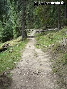 [P03] Poteca dintre cabana si poiana Zanoaga » foto by Claudiu U.
 - 
<span class="allrVoted glyphicon glyphicon-heart hidden" id="av281821"></span>
<a class="m-l-10 hidden" id="sv281821" onclick="voting_Foto_DelVot(,281821,5764)" role="button">șterge vot <span class="glyphicon glyphicon-remove"></span></a>
<a id="v9281821" class=" c-red"  onclick="voting_Foto_SetVot(281821)" role="button"><span class="glyphicon glyphicon-heart-empty"></span> <b>LIKE</b> = Votează poza</a> <img class="hidden"  id="f281821W9" src="/imagini/loader.gif" border="0" /><span class="AjErrMes hidden" id="e281821ErM"></span>