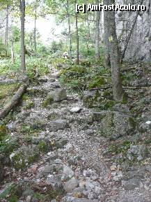 [P32] Coborarea prin zona impadurita a Crapaturii » foto by Claudiu U.
 - 
<span class="allrVoted glyphicon glyphicon-heart hidden" id="av281856"></span>
<a class="m-l-10 hidden" id="sv281856" onclick="voting_Foto_DelVot(,281856,5764)" role="button">șterge vot <span class="glyphicon glyphicon-remove"></span></a>
<a id="v9281856" class=" c-red"  onclick="voting_Foto_SetVot(281856)" role="button"><span class="glyphicon glyphicon-heart-empty"></span> <b>LIKE</b> = Votează poza</a> <img class="hidden"  id="f281856W9" src="/imagini/loader.gif" border="0" /><span class="AjErrMes hidden" id="e281856ErM"></span>