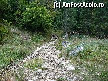 [P33] Locul unde poteca iese din padure, in Gura Vaii Crapaturii » foto by Claudiu U.
 - 
<span class="allrVoted glyphicon glyphicon-heart hidden" id="av281857"></span>
<a class="m-l-10 hidden" id="sv281857" onclick="voting_Foto_DelVot(,281857,5764)" role="button">șterge vot <span class="glyphicon glyphicon-remove"></span></a>
<a id="v9281857" class=" c-red"  onclick="voting_Foto_SetVot(281857)" role="button"><span class="glyphicon glyphicon-heart-empty"></span> <b>LIKE</b> = Votează poza</a> <img class="hidden"  id="f281857W9" src="/imagini/loader.gif" border="0" /><span class="AjErrMes hidden" id="e281857ErM"></span>