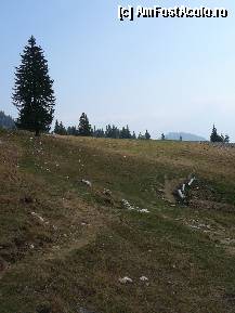 [P04] Poiana Zanoaga. In dreapta se poate vedea stalpul cu sageata indicatoare » foto by Claudiu U.
 - 
<span class="allrVoted glyphicon glyphicon-heart hidden" id="av281822"></span>
<a class="m-l-10 hidden" id="sv281822" onclick="voting_Foto_DelVot(,281822,5764)" role="button">șterge vot <span class="glyphicon glyphicon-remove"></span></a>
<a id="v9281822" class=" c-red"  onclick="voting_Foto_SetVot(281822)" role="button"><span class="glyphicon glyphicon-heart-empty"></span> <b>LIKE</b> = Votează poza</a> <img class="hidden"  id="f281822W9" src="/imagini/loader.gif" border="0" /><span class="AjErrMes hidden" id="e281822ErM"></span>