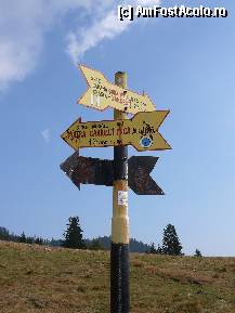 [P05] Sagetile informative din poiana Zanoaga » foto by Claudiu U.
 - 
<span class="allrVoted glyphicon glyphicon-heart hidden" id="av281824"></span>
<a class="m-l-10 hidden" id="sv281824" onclick="voting_Foto_DelVot(,281824,5764)" role="button">șterge vot <span class="glyphicon glyphicon-remove"></span></a>
<a id="v9281824" class=" c-red"  onclick="voting_Foto_SetVot(281824)" role="button"><span class="glyphicon glyphicon-heart-empty"></span> <b>LIKE</b> = Votează poza</a> <img class="hidden"  id="f281824W9" src="/imagini/loader.gif" border="0" /><span class="AjErrMes hidden" id="e281824ErM"></span>